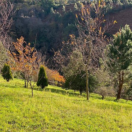 Finca Portizuelo ลัวร์กา ภายนอก รูปภาพ