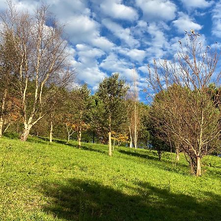 Finca Portizuelo ลัวร์กา ภายนอก รูปภาพ