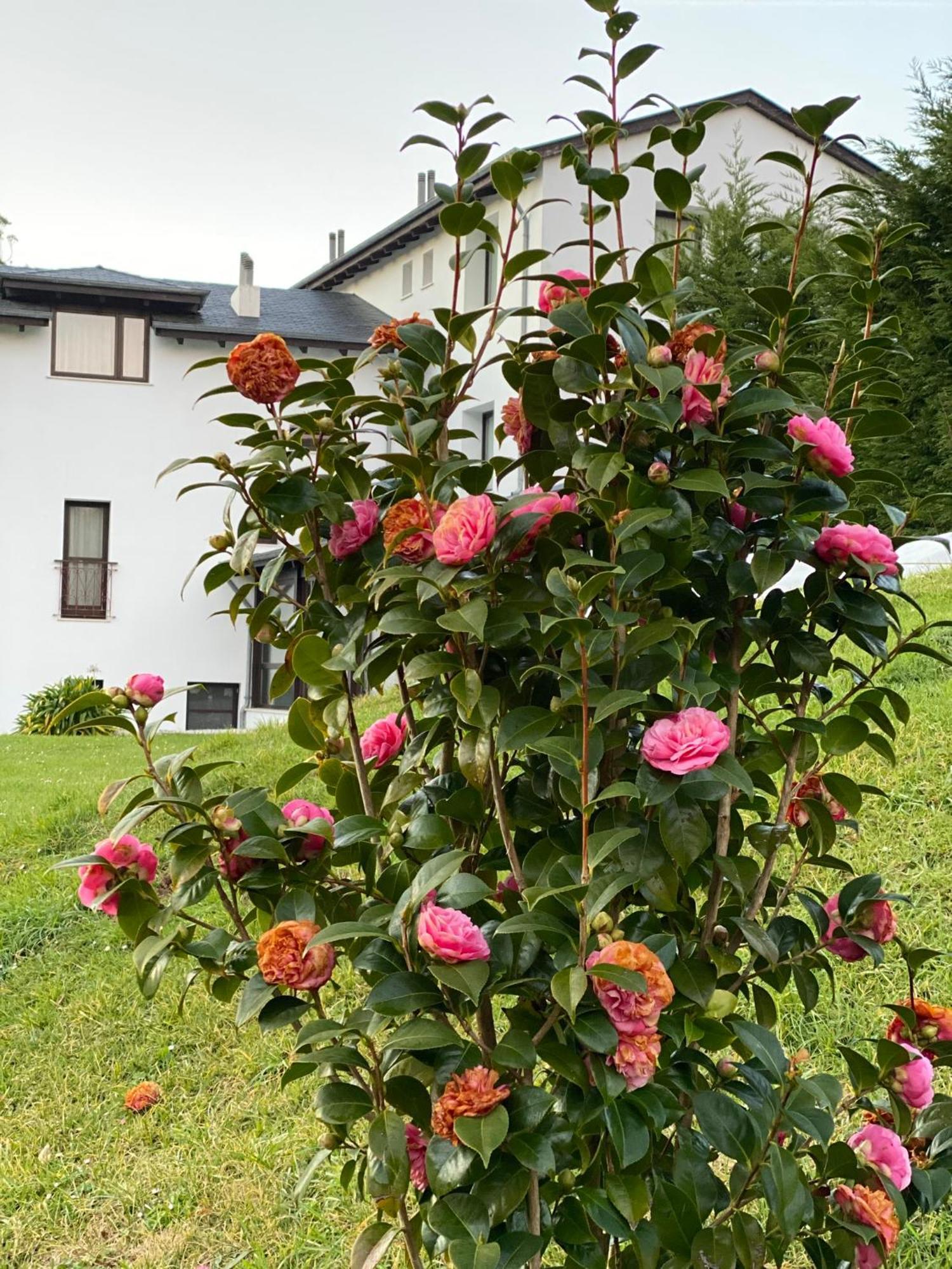Finca Portizuelo ลัวร์กา ภายนอก รูปภาพ