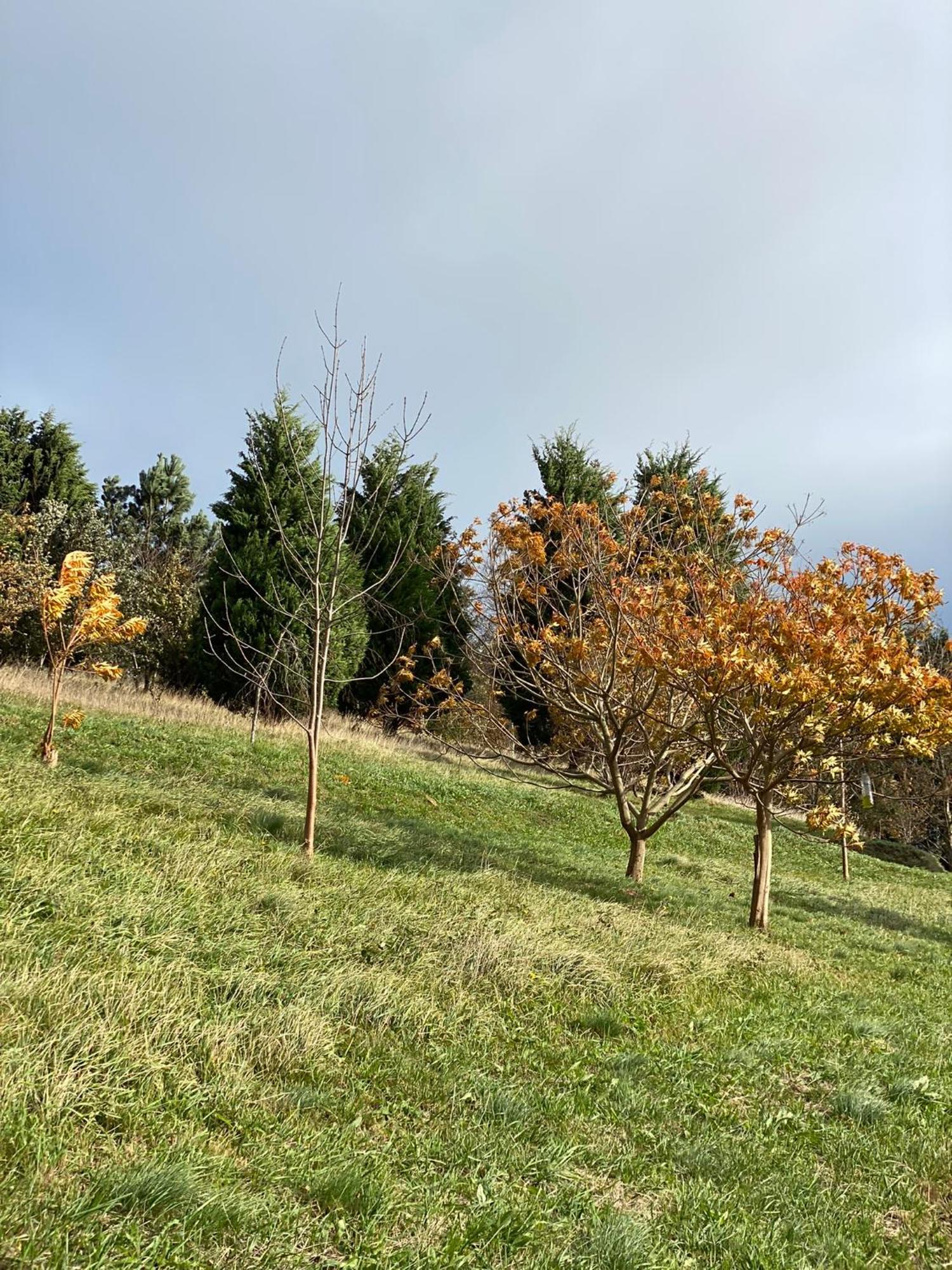 Finca Portizuelo ลัวร์กา ภายนอก รูปภาพ