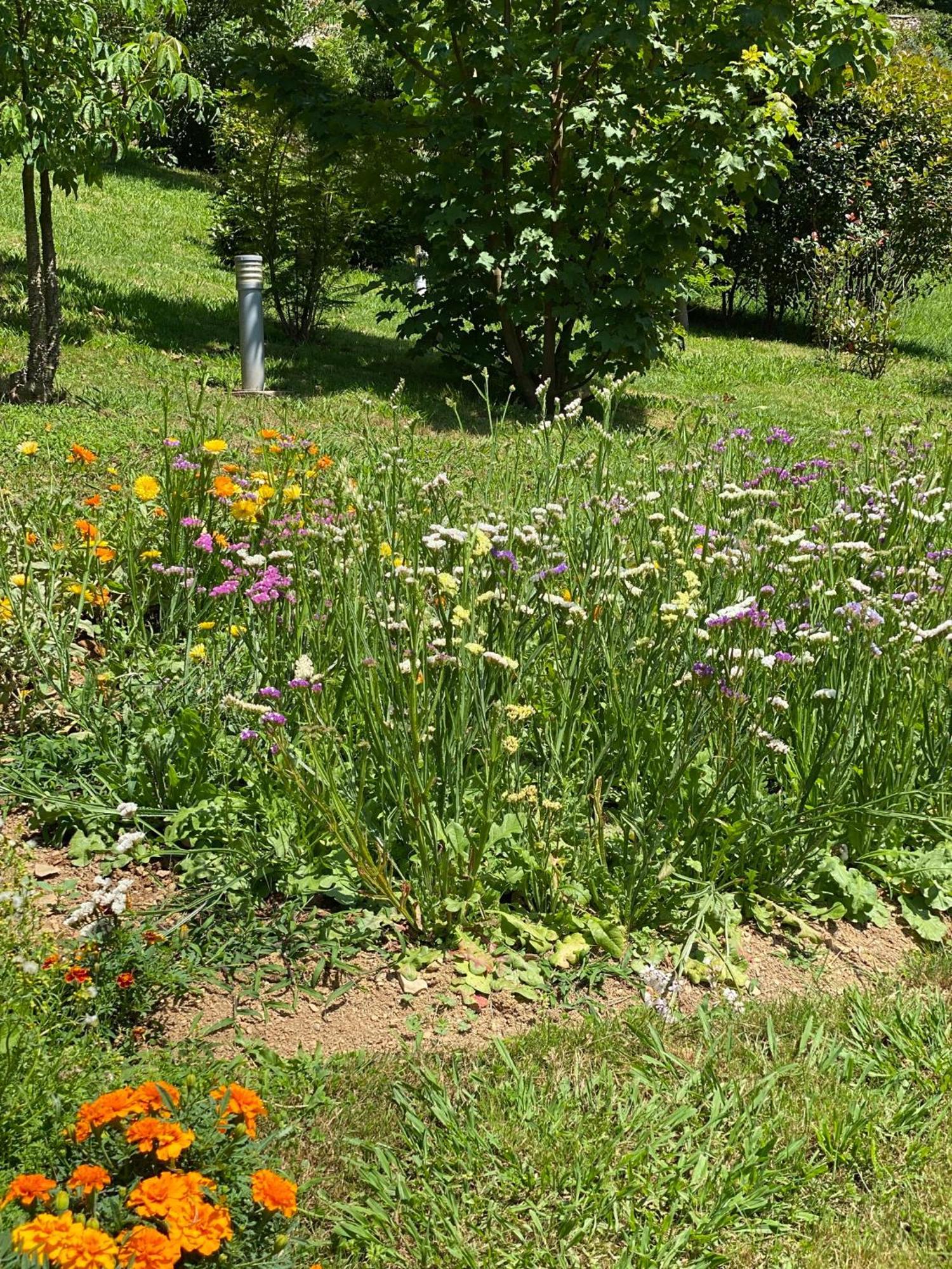 Finca Portizuelo ลัวร์กา ภายนอก รูปภาพ