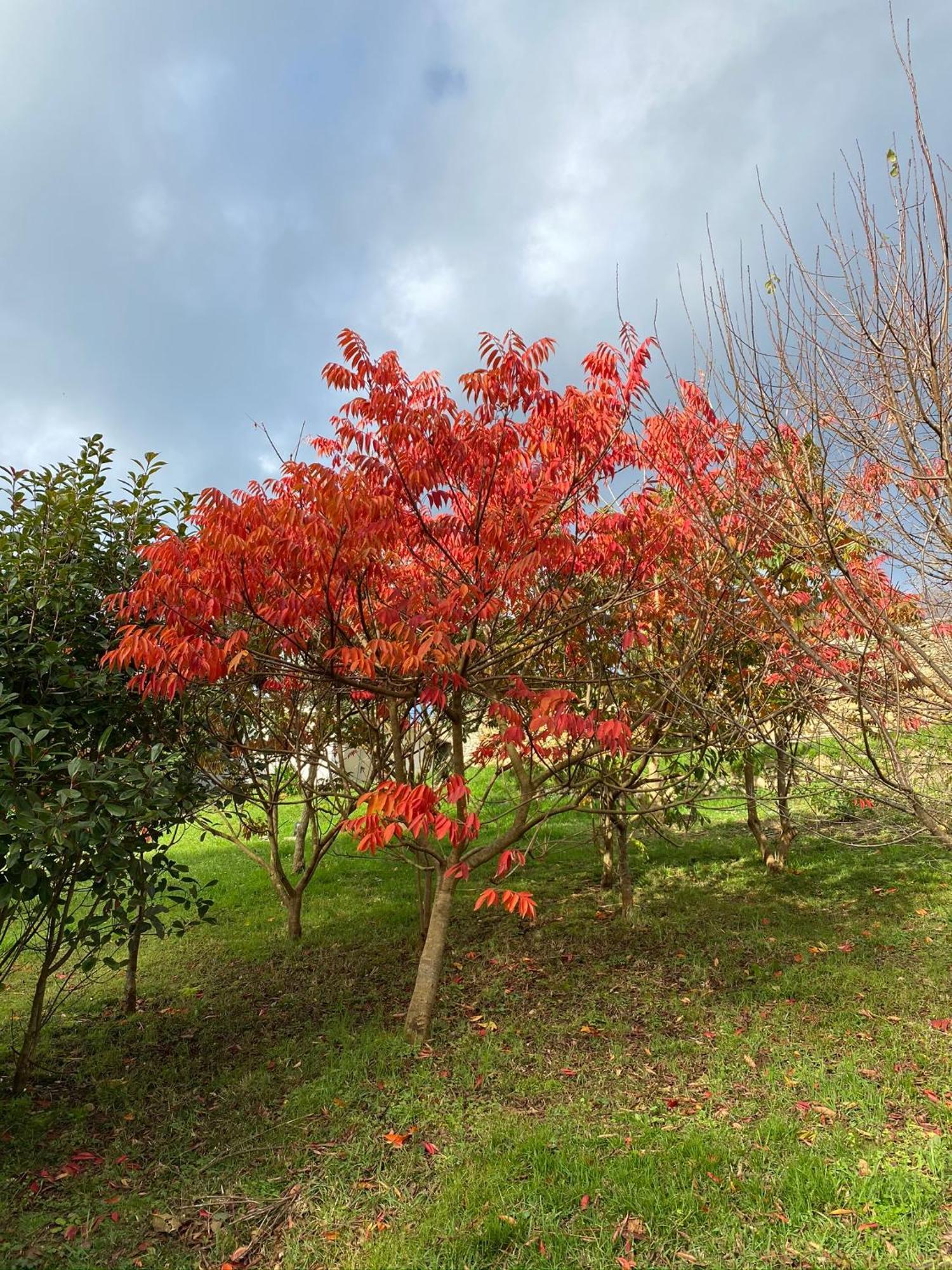 Finca Portizuelo ลัวร์กา ภายนอก รูปภาพ
