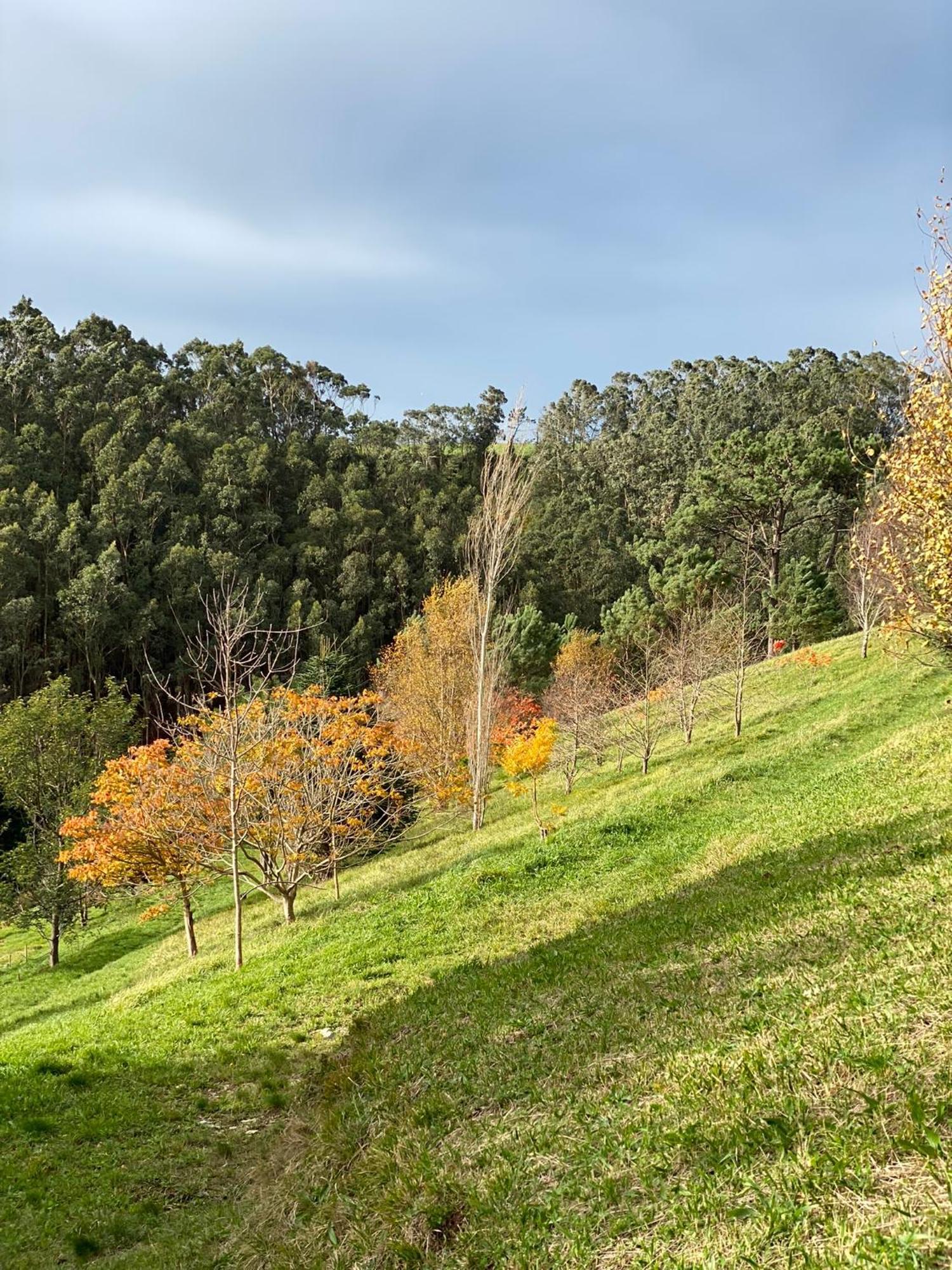 Finca Portizuelo ลัวร์กา ภายนอก รูปภาพ
