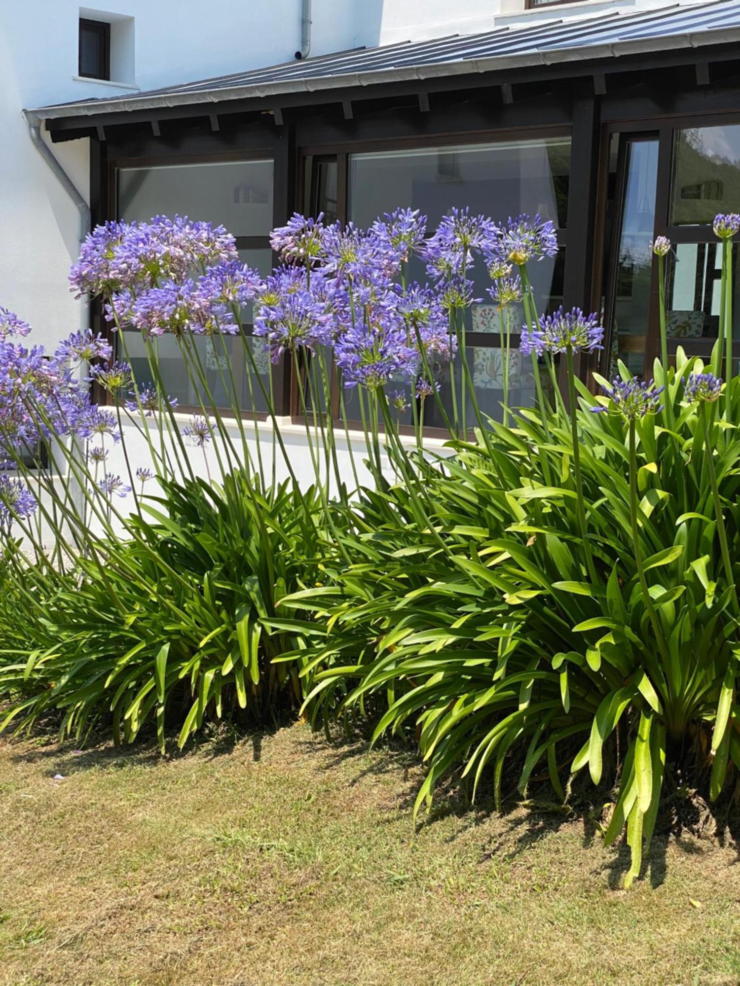 Finca Portizuelo ลัวร์กา ภายนอก รูปภาพ