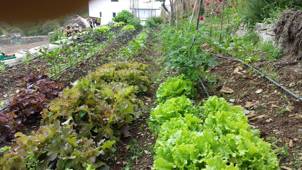 Finca Portizuelo ลัวร์กา ภายนอก รูปภาพ
