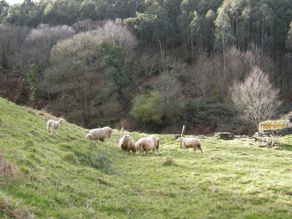 Finca Portizuelo ลัวร์กา ภายนอก รูปภาพ