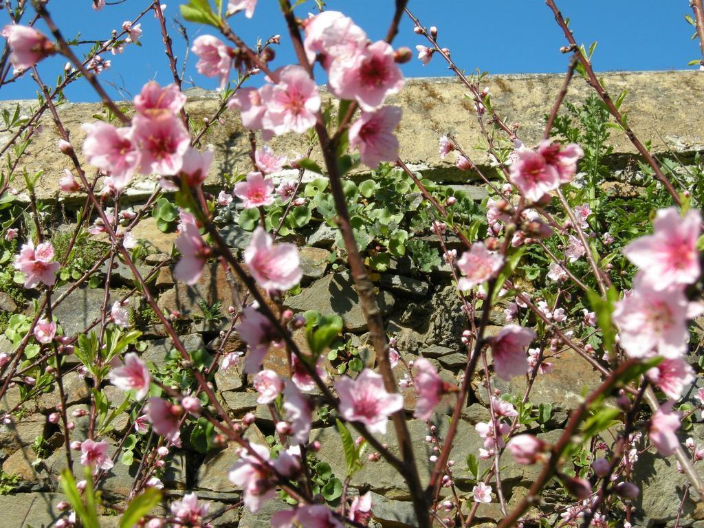 Finca Portizuelo ลัวร์กา ภายนอก รูปภาพ