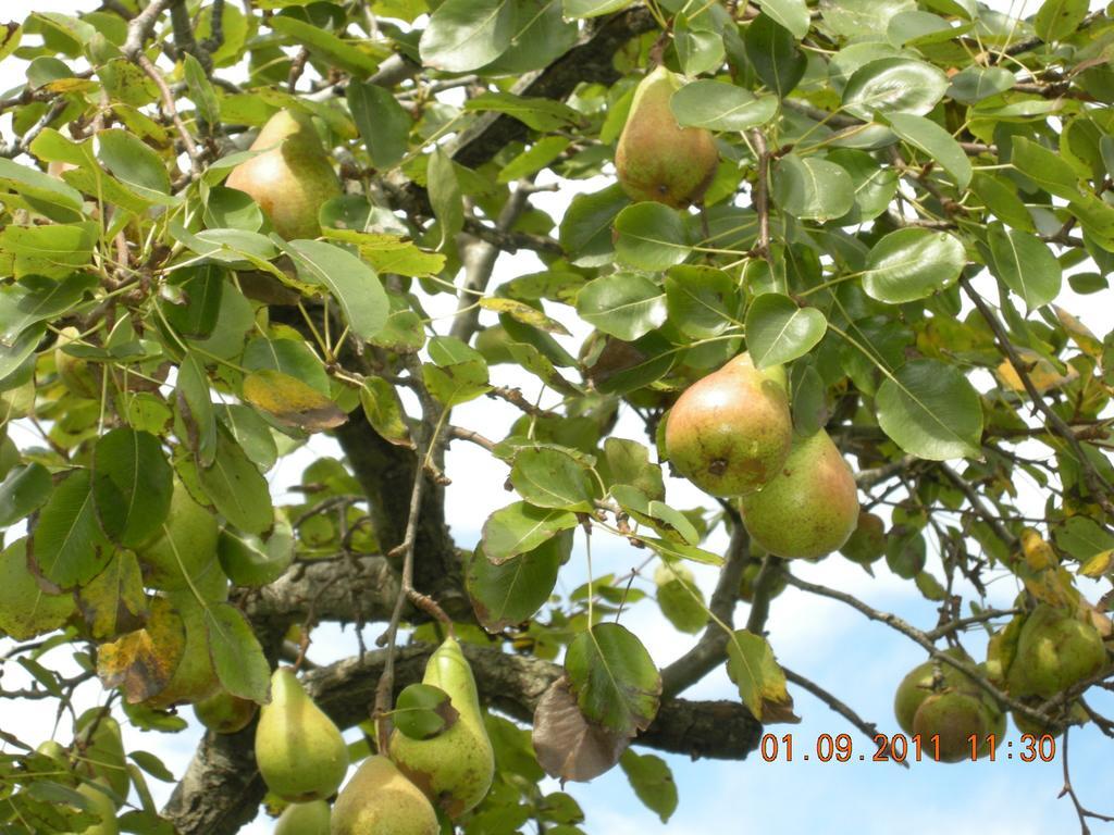 Finca Portizuelo ลัวร์กา ภายนอก รูปภาพ