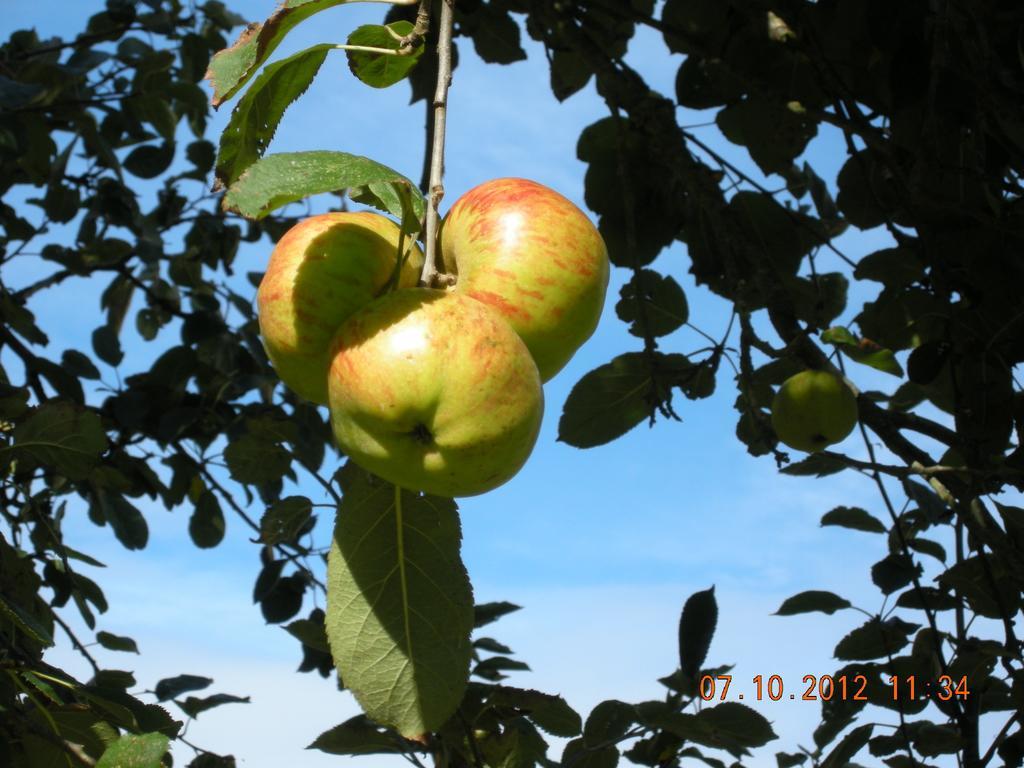 Finca Portizuelo ลัวร์กา ภายนอก รูปภาพ