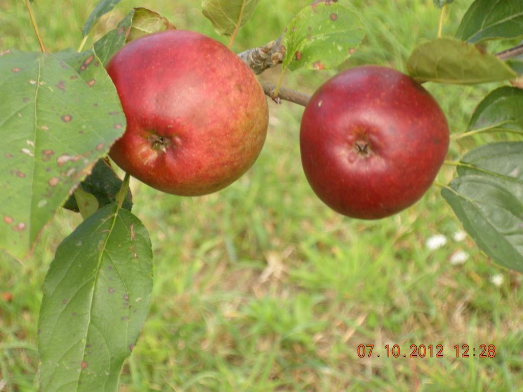 Finca Portizuelo ลัวร์กา ภายนอก รูปภาพ