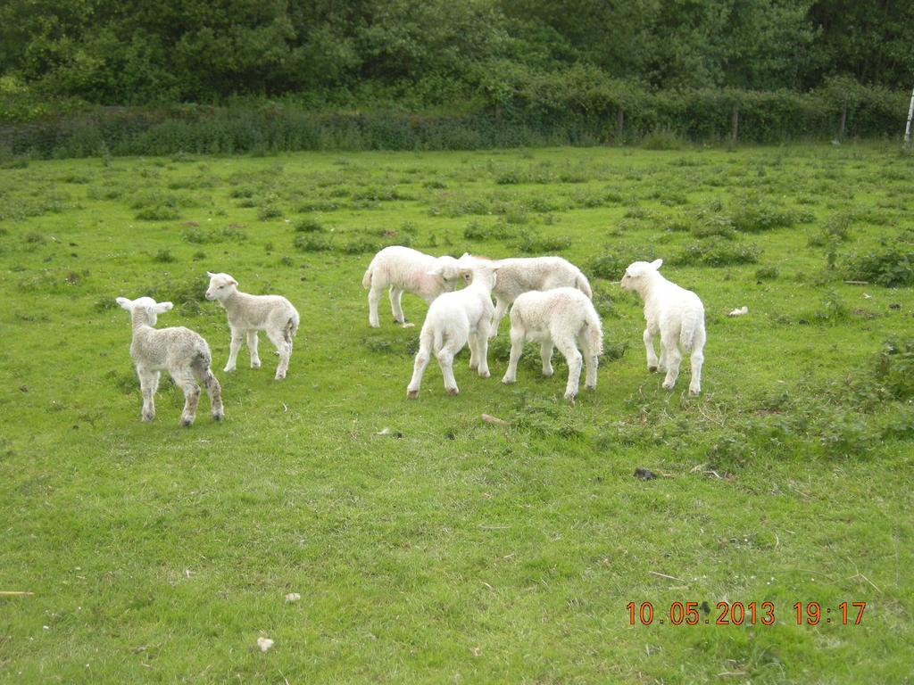 Finca Portizuelo ลัวร์กา ภายนอก รูปภาพ