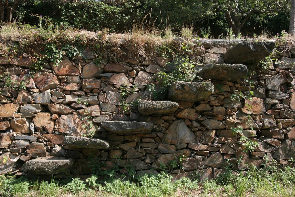 Finca Portizuelo ลัวร์กา ภายนอก รูปภาพ